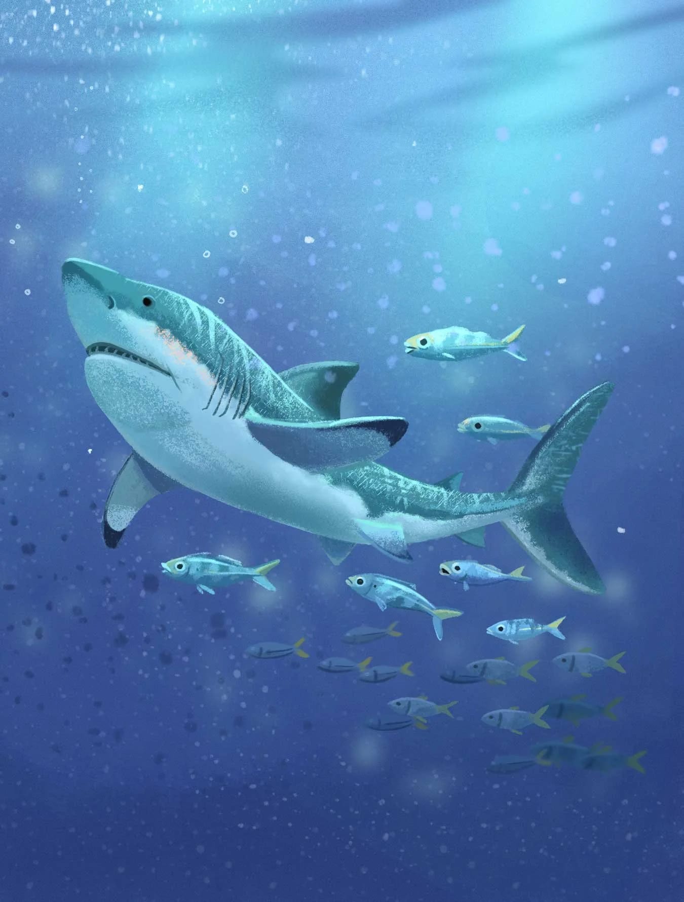 Digital illustration of a large shark swimming with smaller fish in the ocean, illuminated by blue light from above.