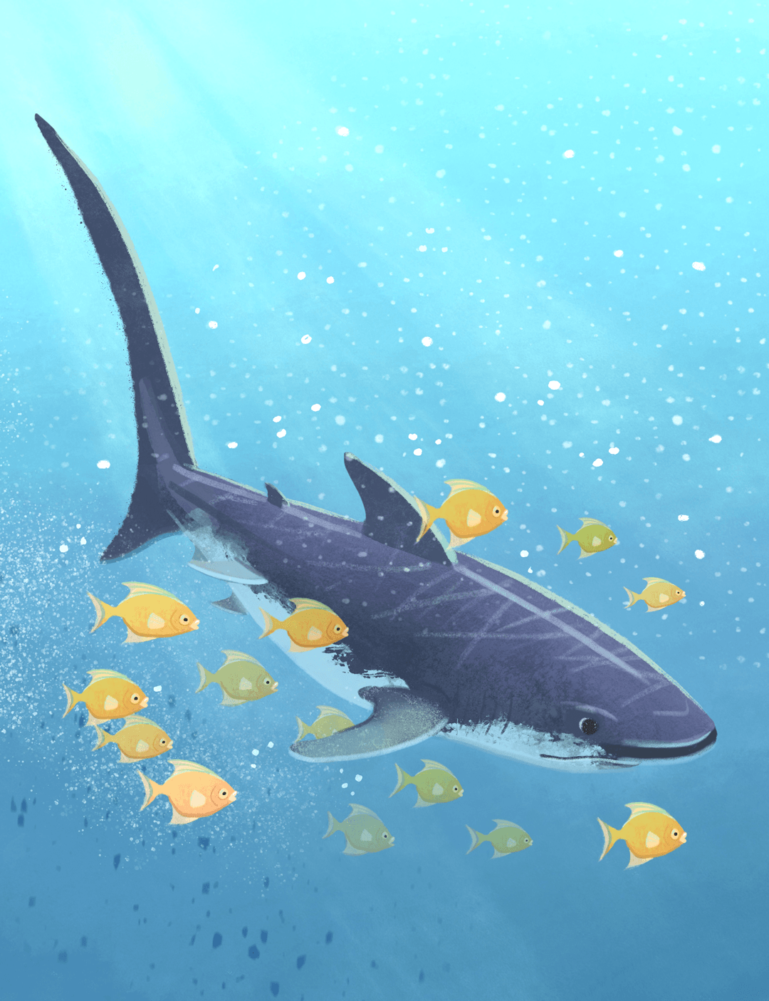 An illustration of a large whale swimming underwater with small yellow and green fish surrounding it, with sunlight filtering down from above.