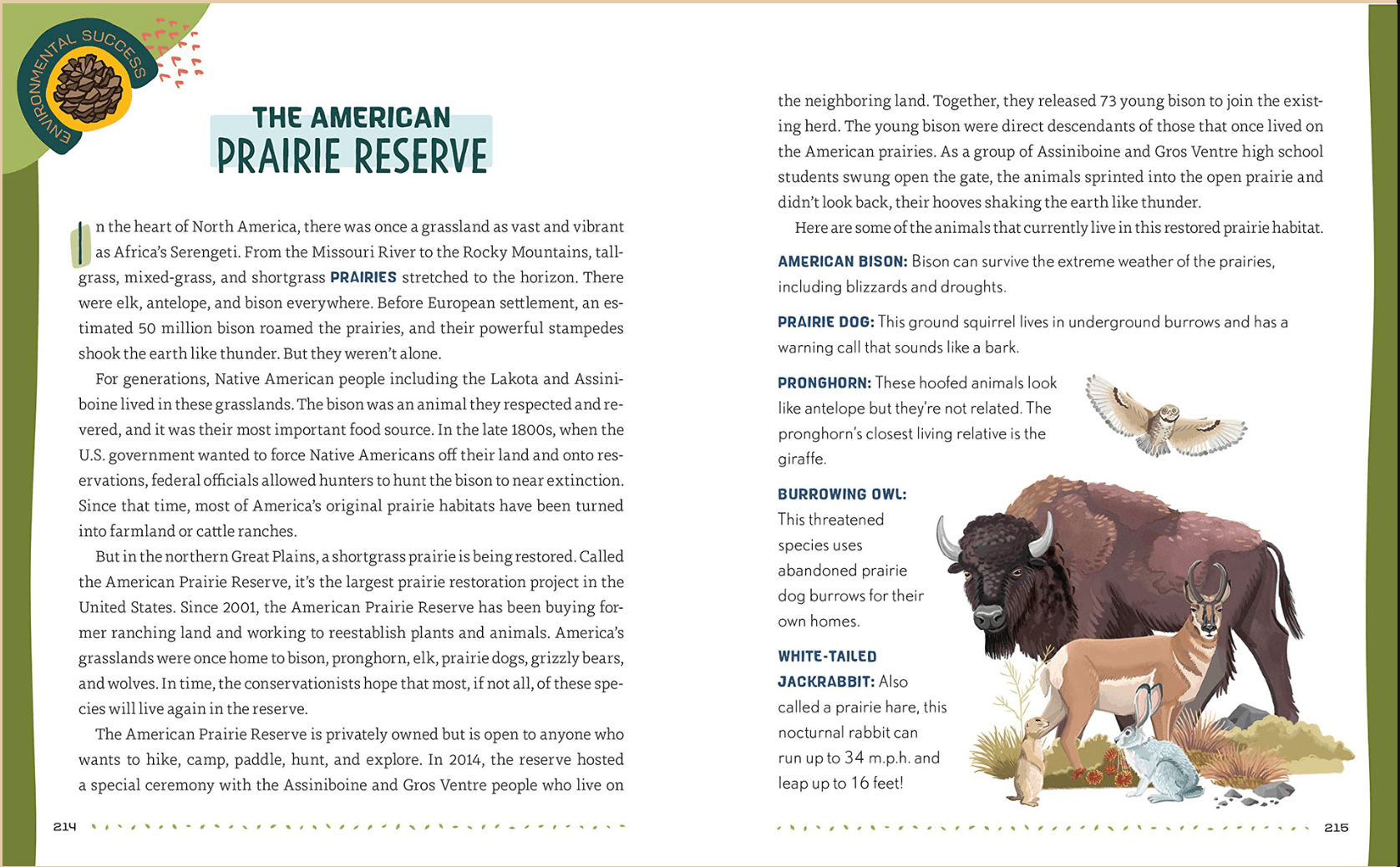 Illustration of animals from the American Prairie Reserve, including a bison, a prairie dog, a pronghorn, a burrowing owl, and a white-tailed jackrabbit, set against a natural landscape with rocks and grasses.