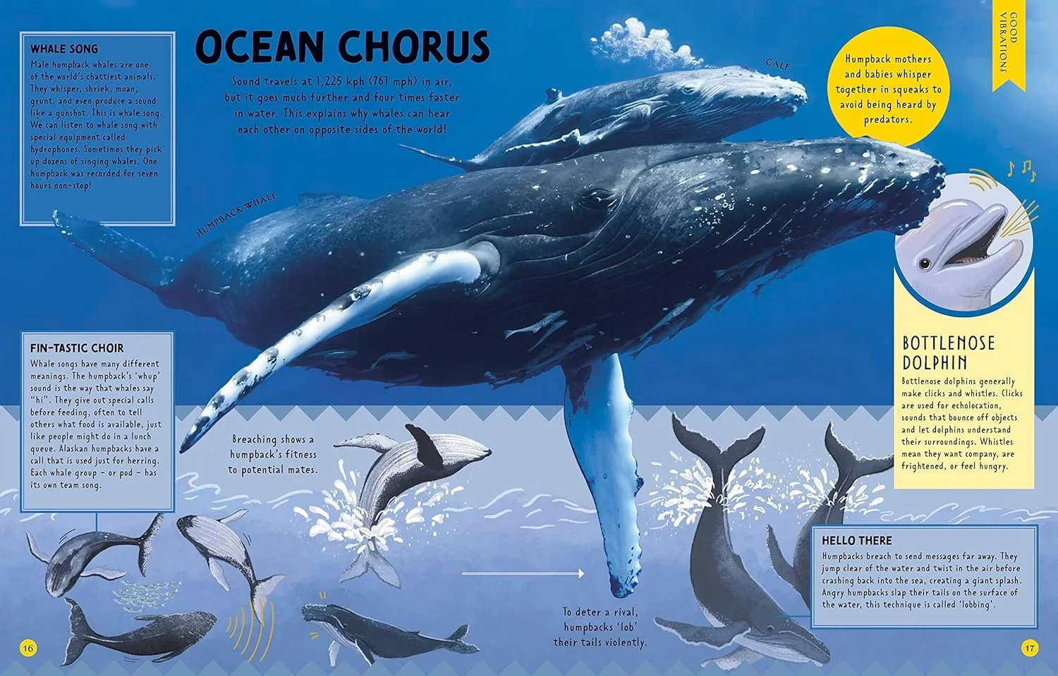 Illustration of whales underwater, including a whale with a small whale on its back, and multiple humpback whales breaching the water. Text boxes explain whale songs, baleen whale features, and dolphin echolocation.