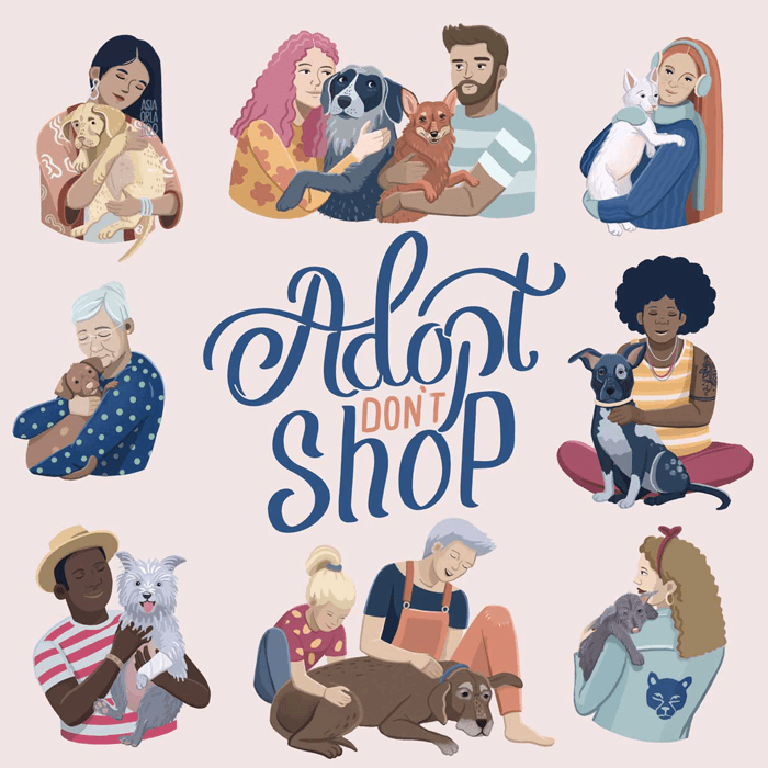 Adopt Don't Shop