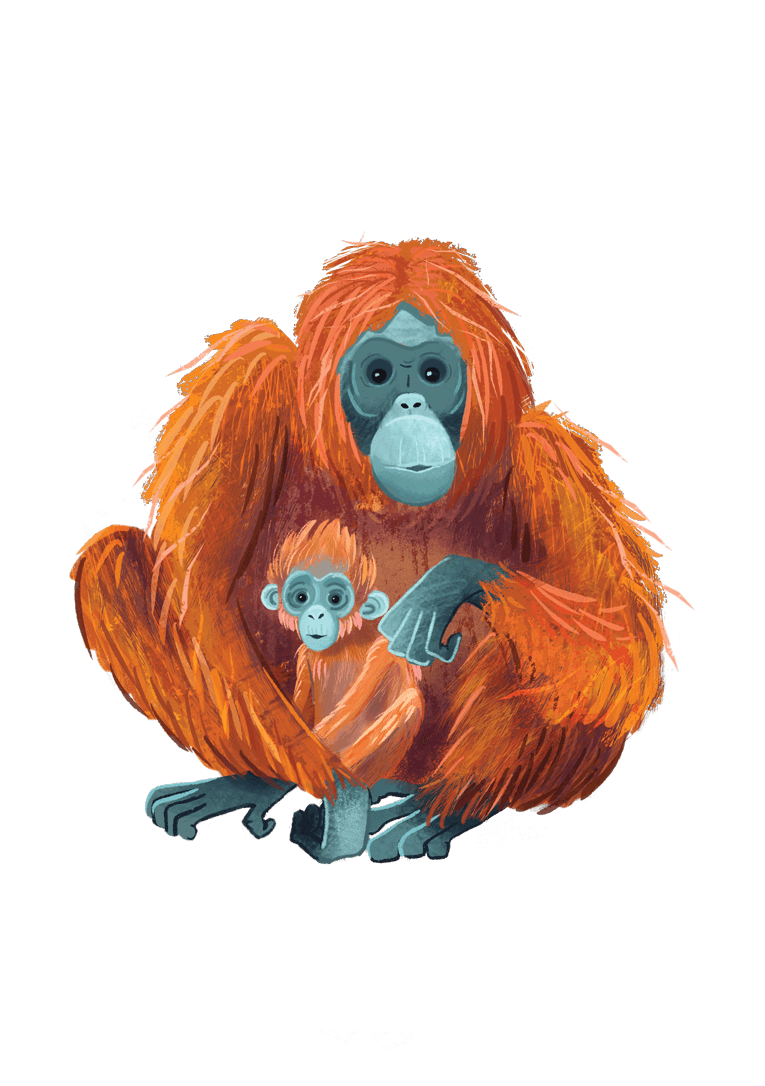 Illustration of a mother orangutan with an orange coat holding her young orangutan with a similar coat, both sitting on a black background.
