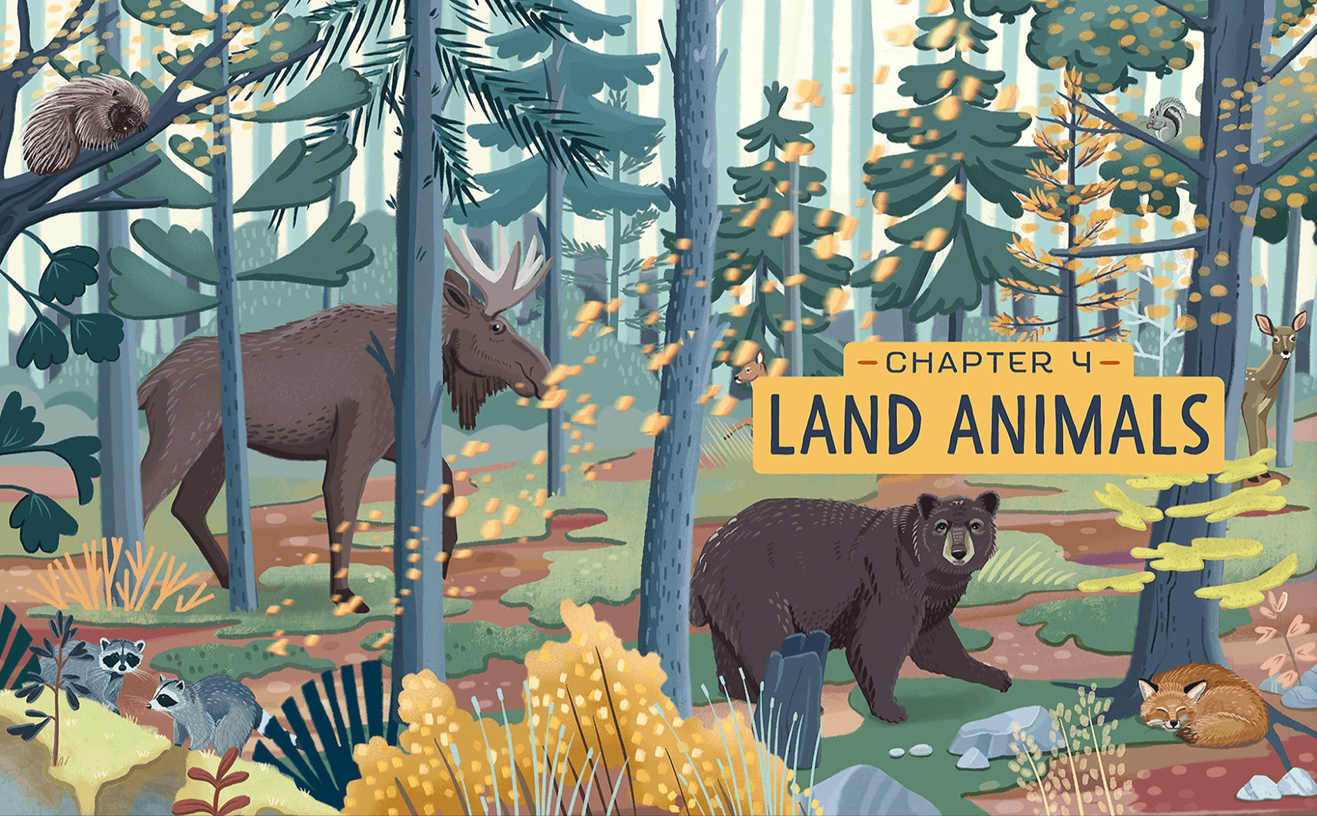 Illustration of forest scene with land animals, including a moose, bear, raccoons, fox, squirrel, deer, and raccoon, with a sign reading 'Chapter 4 Land Animals.'