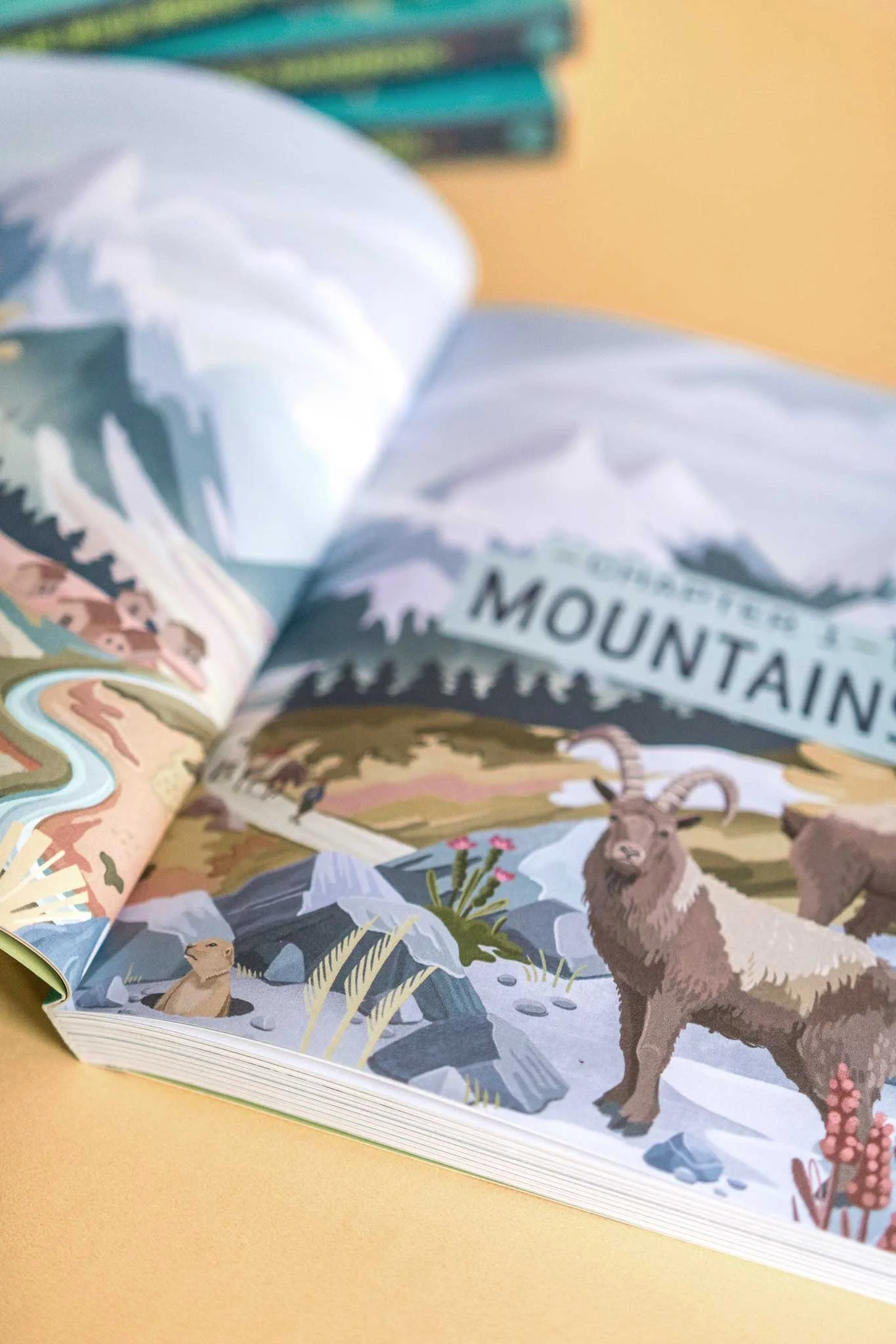 Open illustrated book about mountains, featuring animals like a mountain goat and a marmot, with a mountain landscape and river scene.