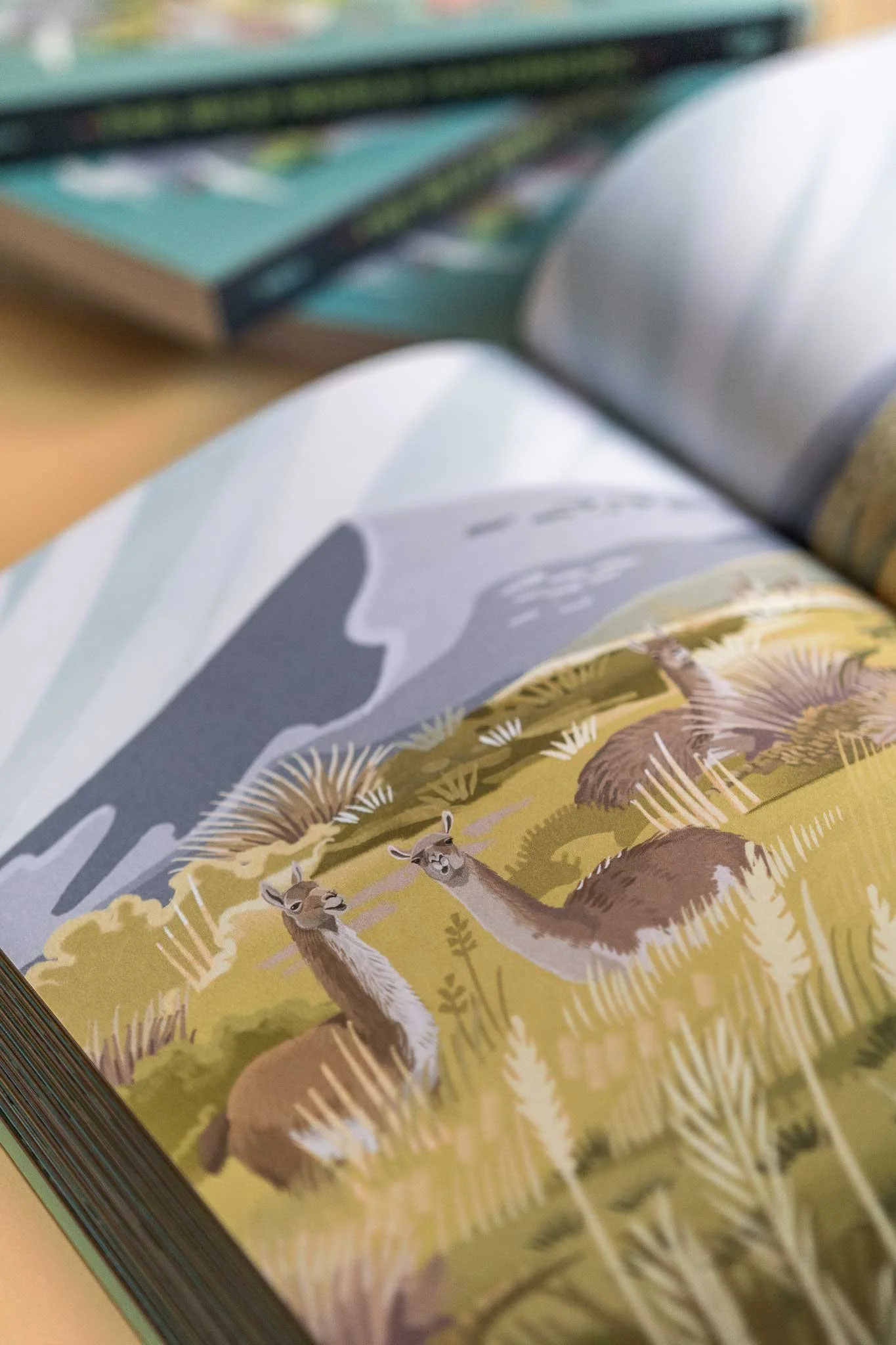 Open book with illustrations of deer in a forest scene, with some books in the background.