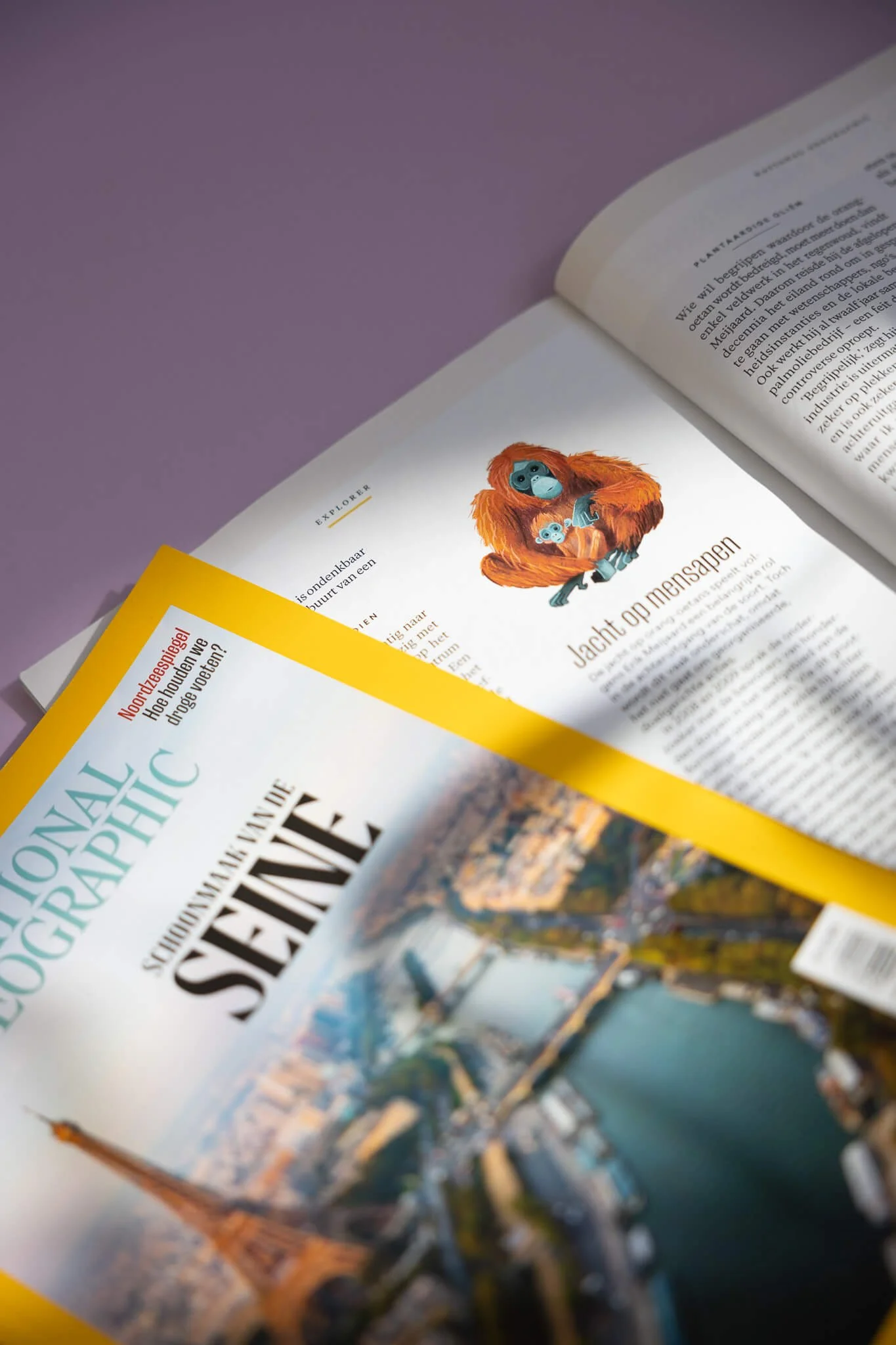 Open magazine with an illustration of a monkey holding a baby monkey and a yellow-covered National Geographic magazine showing a blurred cityscape with a river and the Eiffel Tower.
