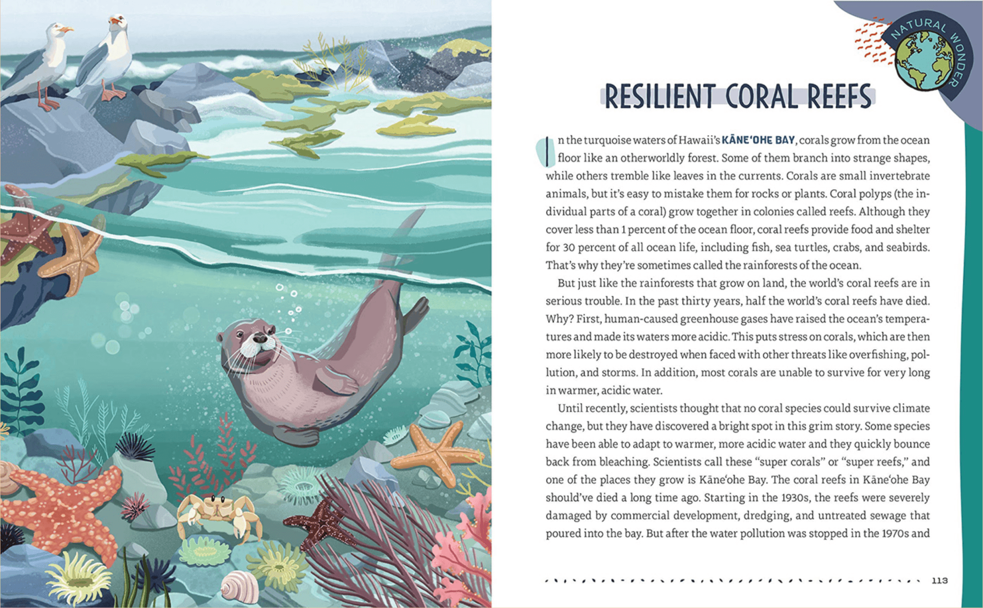 Illustration of Hawaiian coral reef life, including rocks, starfish, shells, seaweed, a crab, and two birds sitting on rocks.