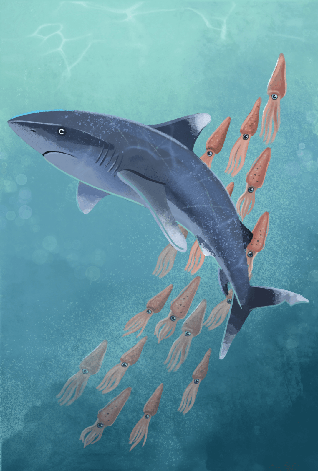 Illustration of a large shark swimming with multiple squids in the ocean.