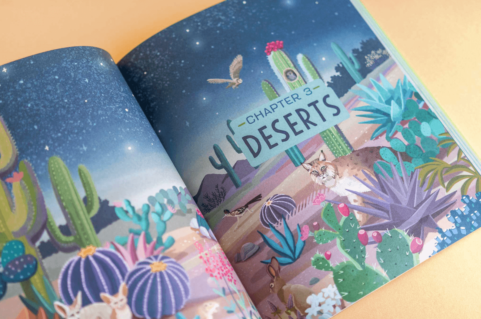 Illustration of a desert scene at night with various cacti and desert plants, a coyote, a roadrunner, and a hawk, with a starry sky and a sign reading 'Chapter 3 Deserts'.