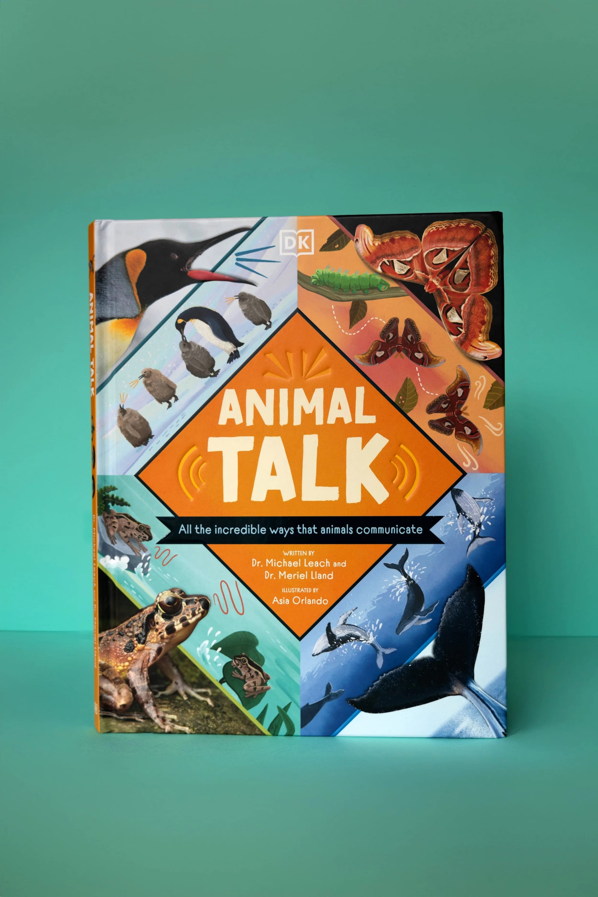 Book titled 'Animal Talk' with images of various animals, including a bird, caterpillars, butterflies, frogs, whales, and penguins, against a teal background.