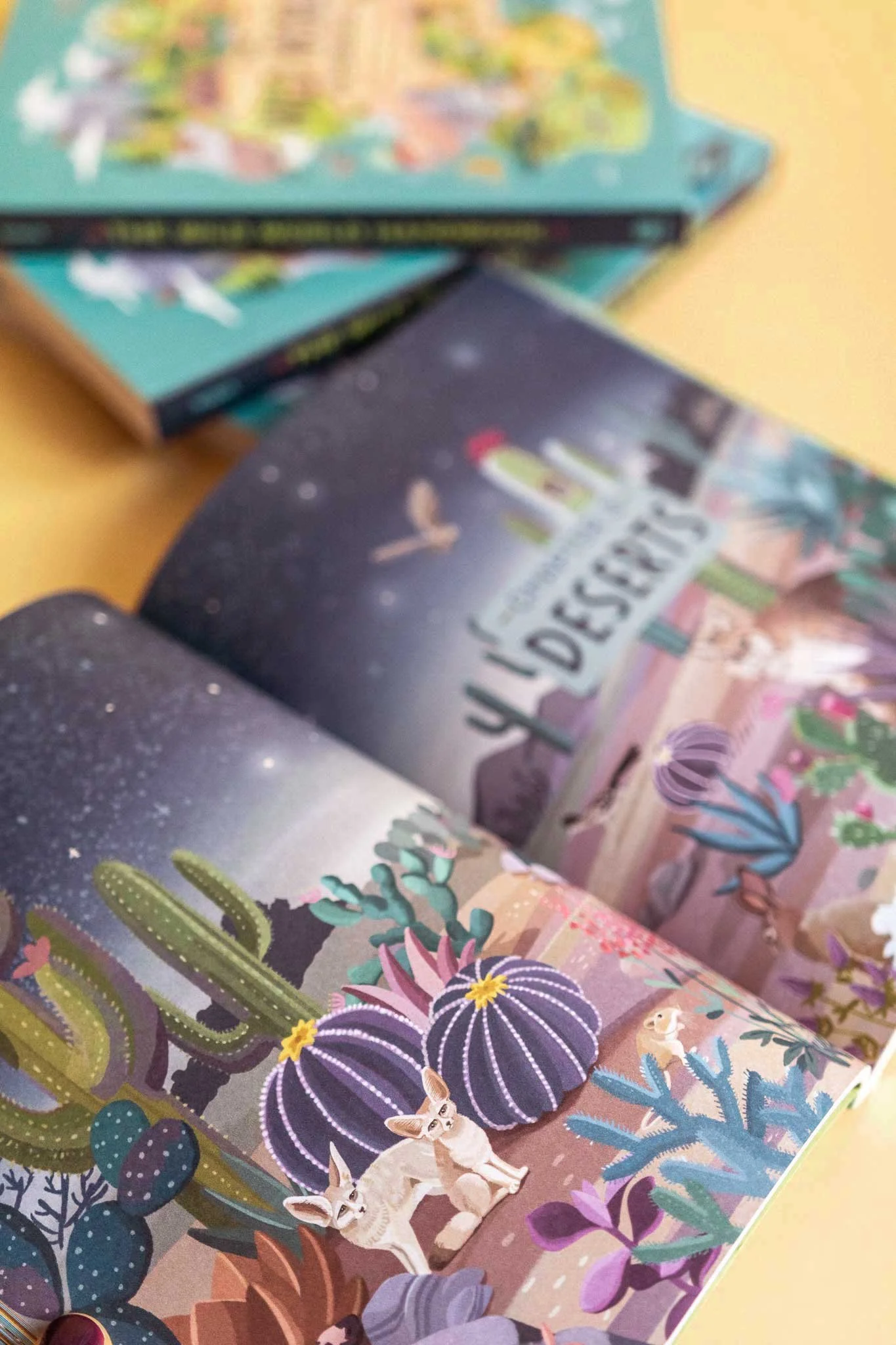 Open book with colorful desert scene, featuring cacti, a fox, and various desert plants, with a galaxy and starry sky in the background.