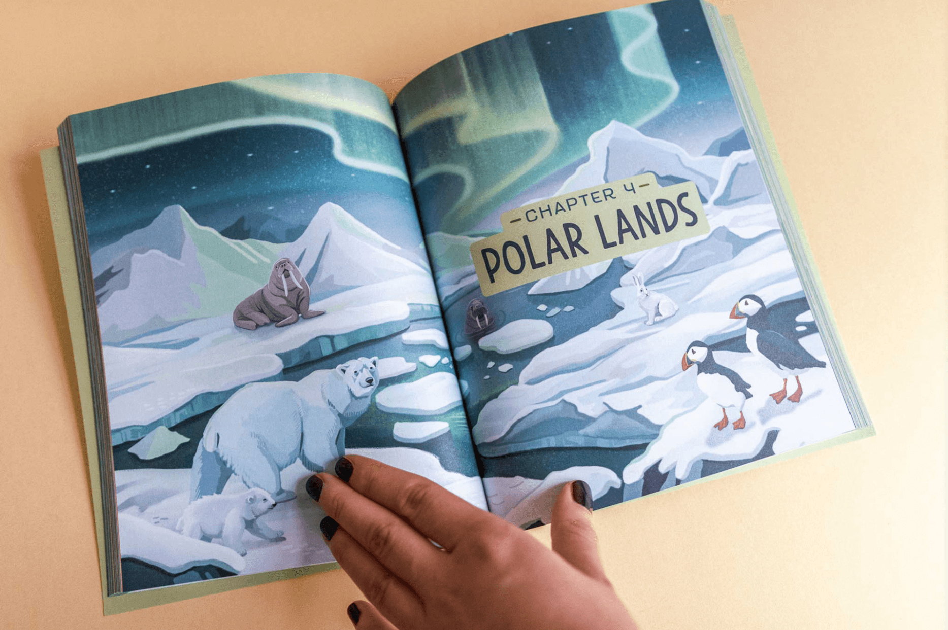 Open book illustration of the Arctic with polar bears, seals, and puffins under the northern lights.