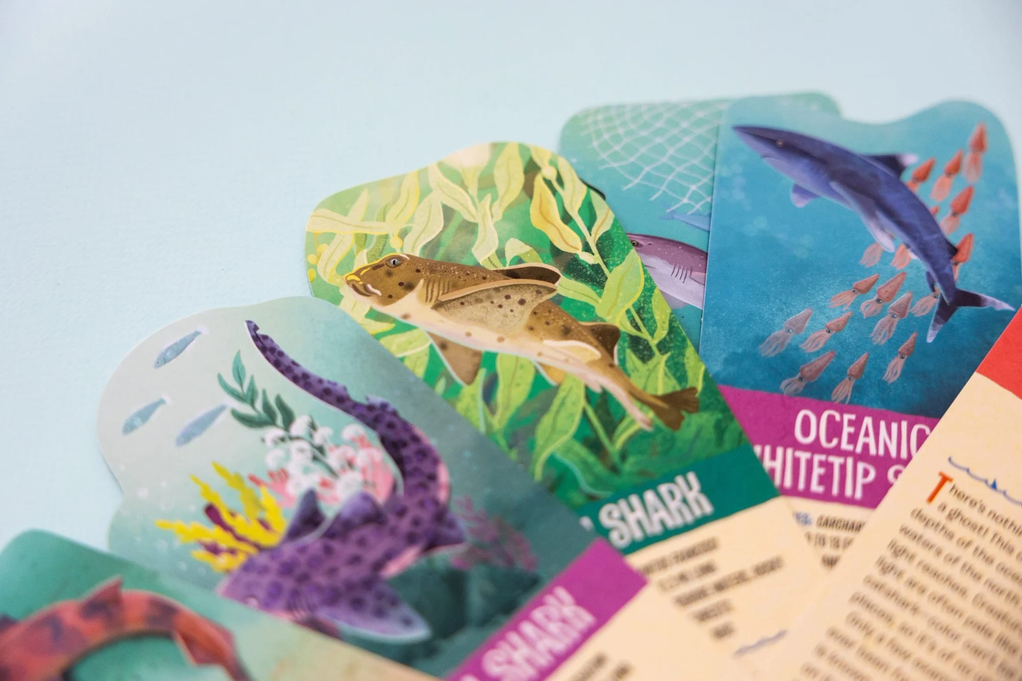 Colorful educational cards featuring ocean animals, including a shark, a whale, a fish, and a squid, with illustrations and labels.