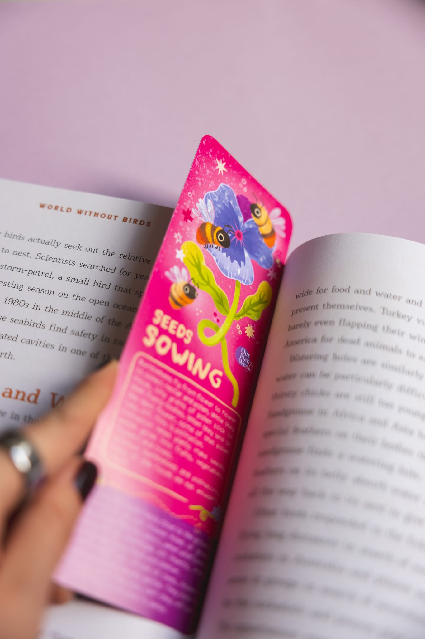 Seeds Sowing bookmark front.