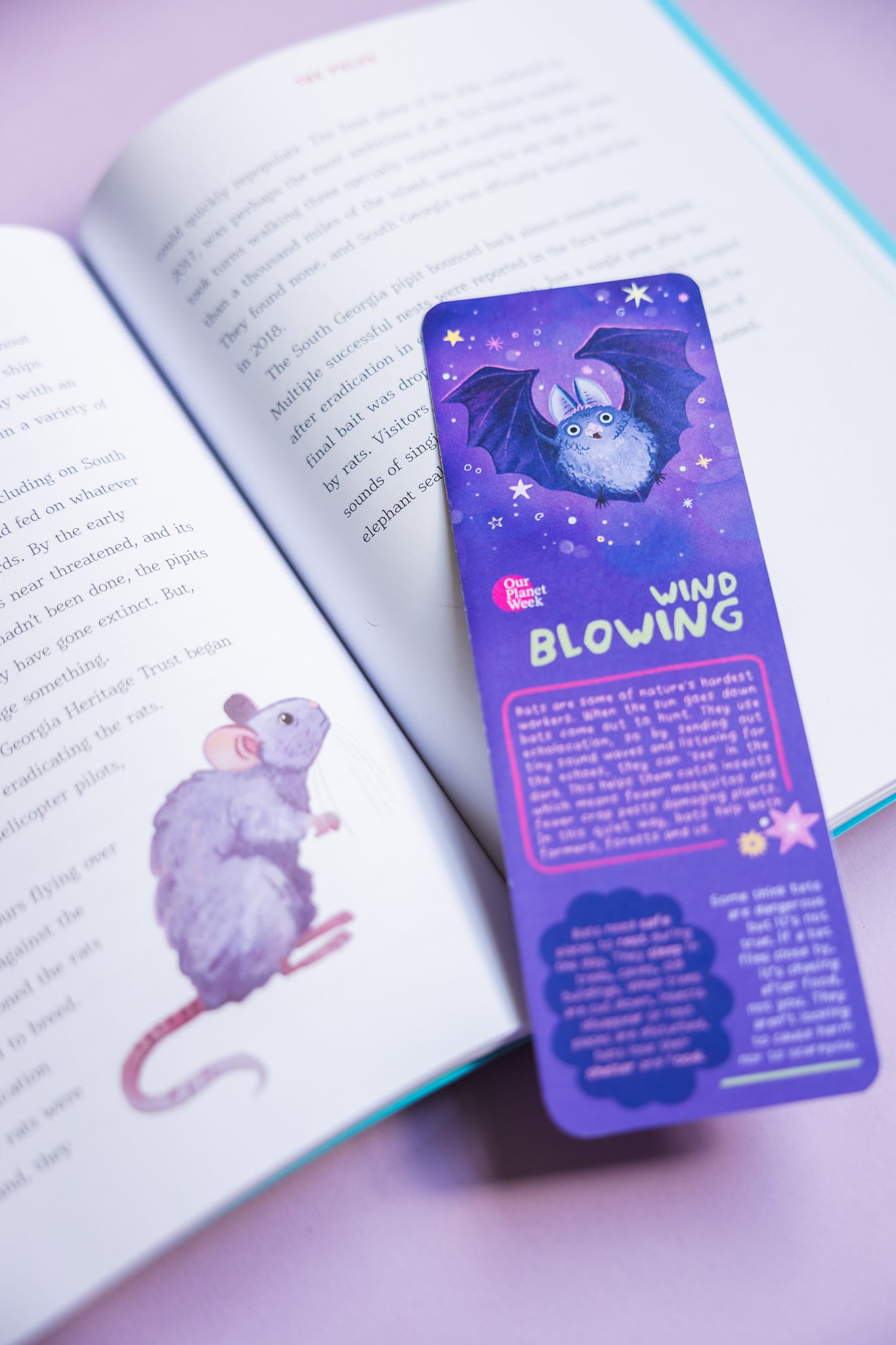 Seeds Sowing bookmark tucked into an open book.