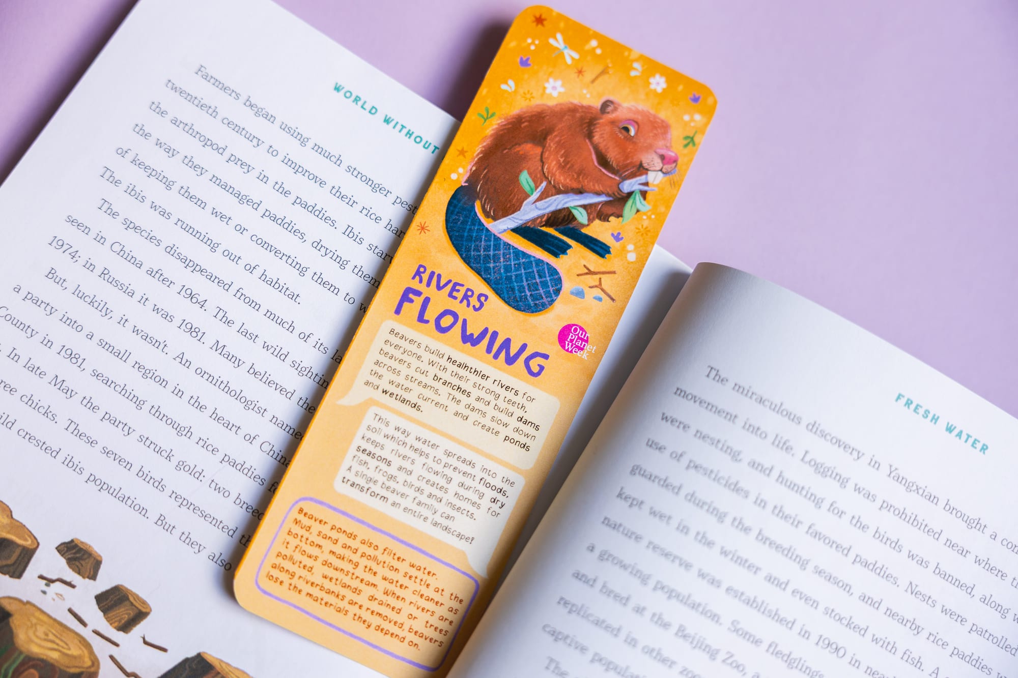 Bookmarks scattered on a table.