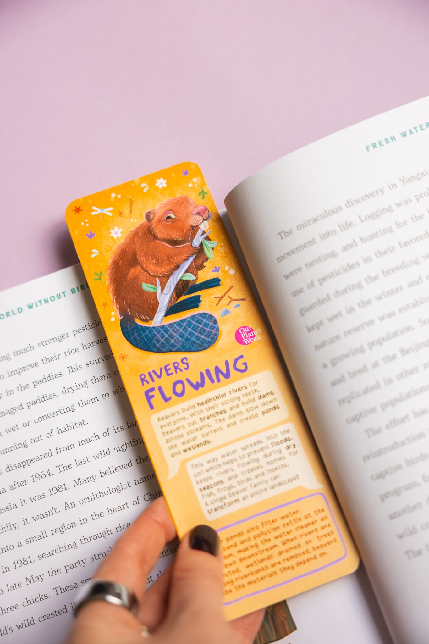 Beaver bookmark tucked into an open book.