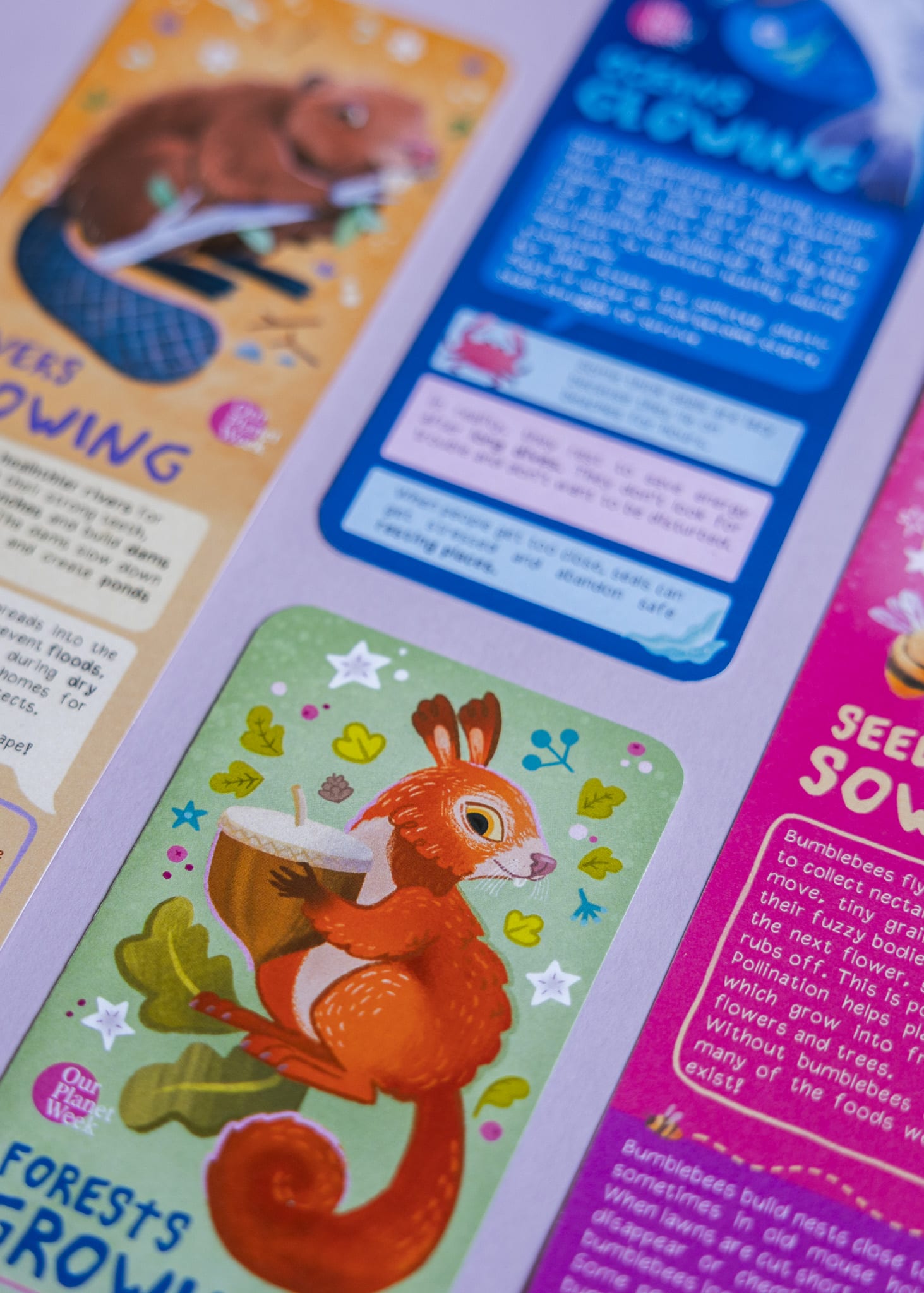 Educational bookmarks set illustrated by Asia Orlando for Our Planet Week