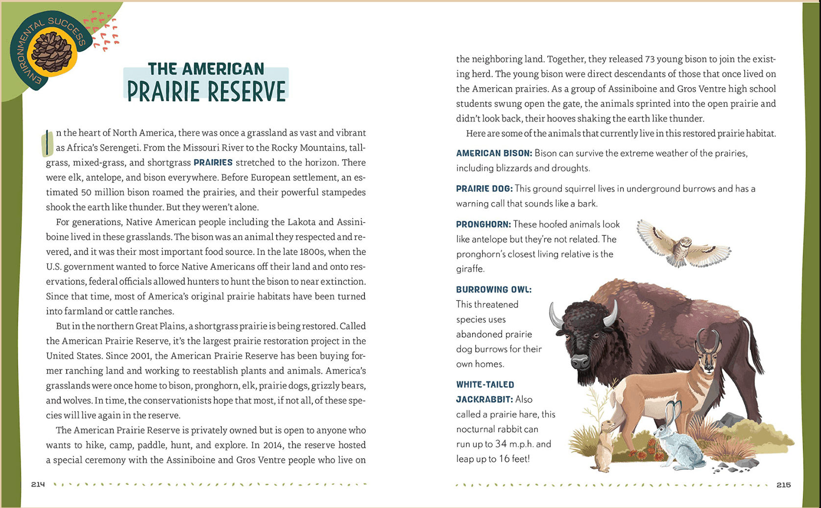 Illustration of animals found in the American Prairie Reserve, including a bison, pronghorn, burrowing owl, and white-tailed jackrabbit.