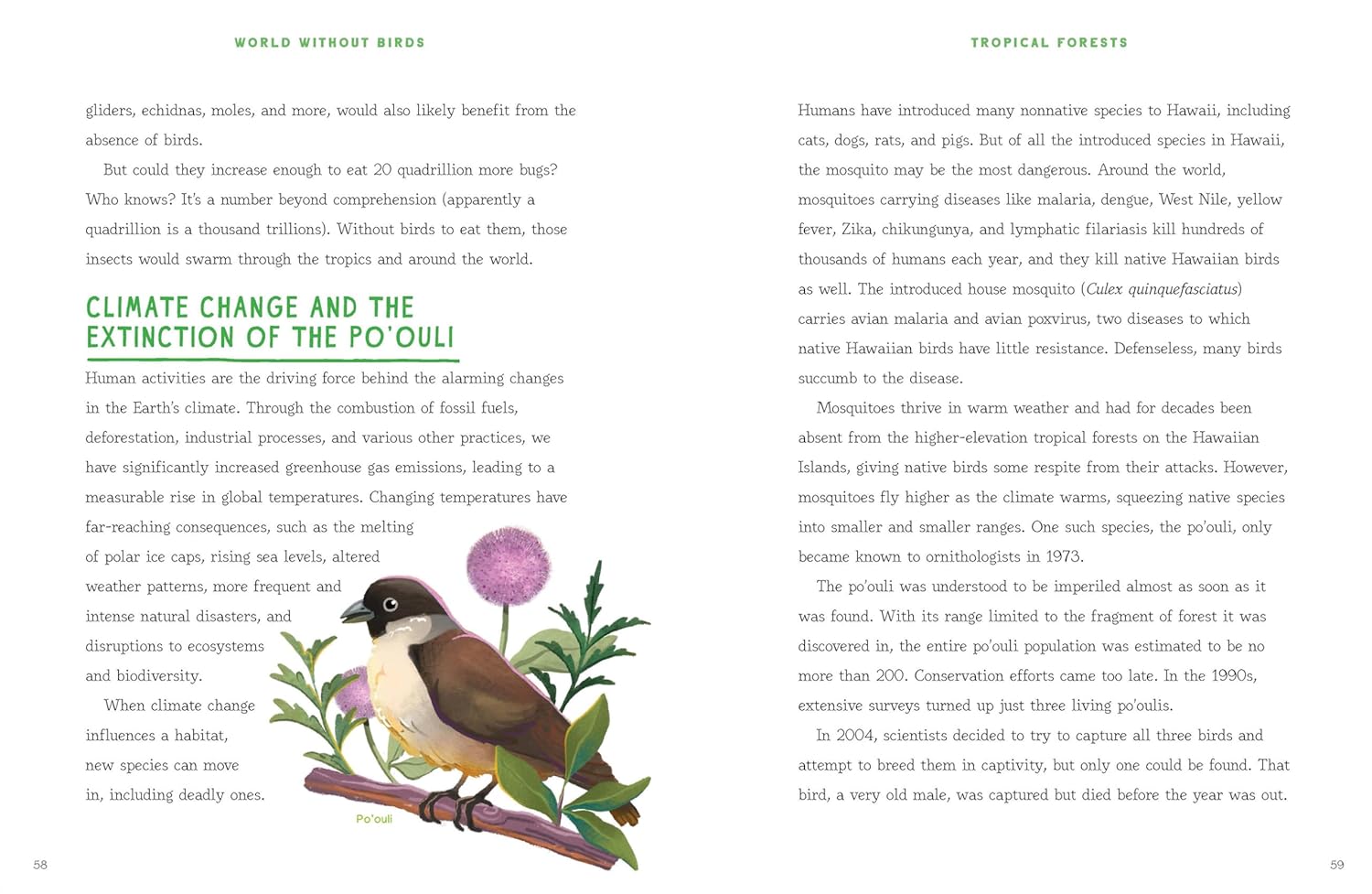 Climate change and the extinction of the Poʻouli — spread on tropical forests.