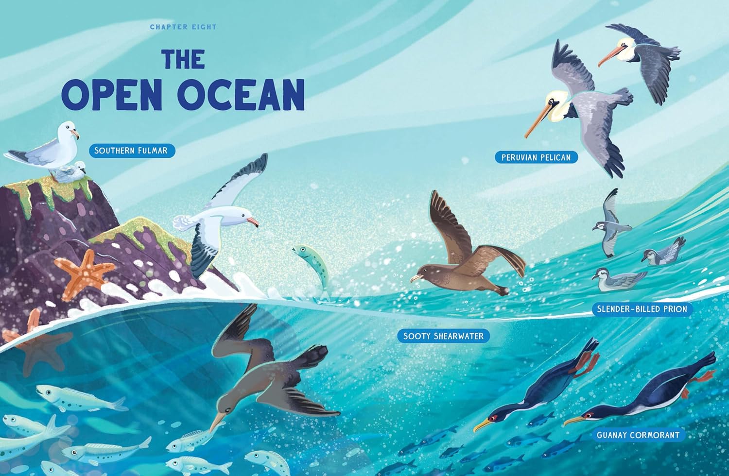 The Open Ocean chapter spread — sea birds and aquatic species above and below the water line.